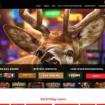 Mr Beast Casino App: Features, Gameplay, and How to Download