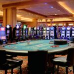 8393597031: Product Details, Features, and Customer Reviews