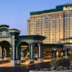 Cool Cat Casino: Play Online Slots, Table Games & Claim Big Bonuses