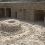 wehidomcid97: Essential Guide and Key Features Explained