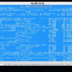 Crew Disquantified Org: Understanding Crew Disqualification and Organization