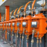 Oona Gray Seppala: Biography, Career Highlights & Notable Achievements