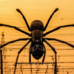 Crew CloudySocial: Social Media Management Solutions